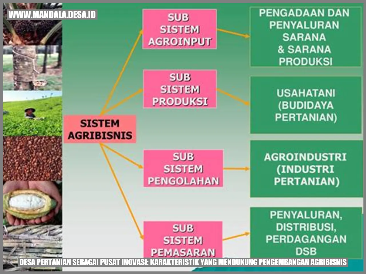 Desa Pertanian Sebagai Pusat Inovasi: Karakteristik yang Mendukung Pengembangan Agribisnis