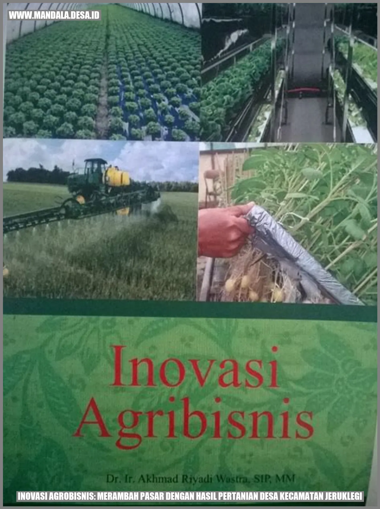 Inovasi Agrobisnis: Merambah Pasar dengan Hasil Pertanian Desa Kecamatan Jeruklegi