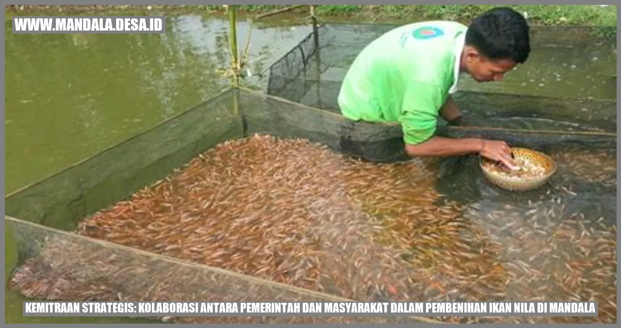 Kemitraan Strategis: Kolaborasi Antara Pemerintah dan Masyarakat dalam Pembenihan Ikan Nila di Mandala