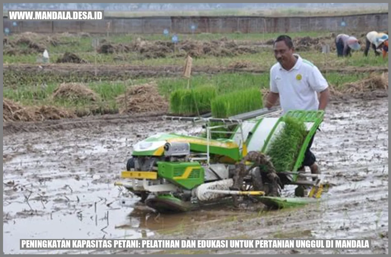 Gambar Pertanian Unggul di Mandala